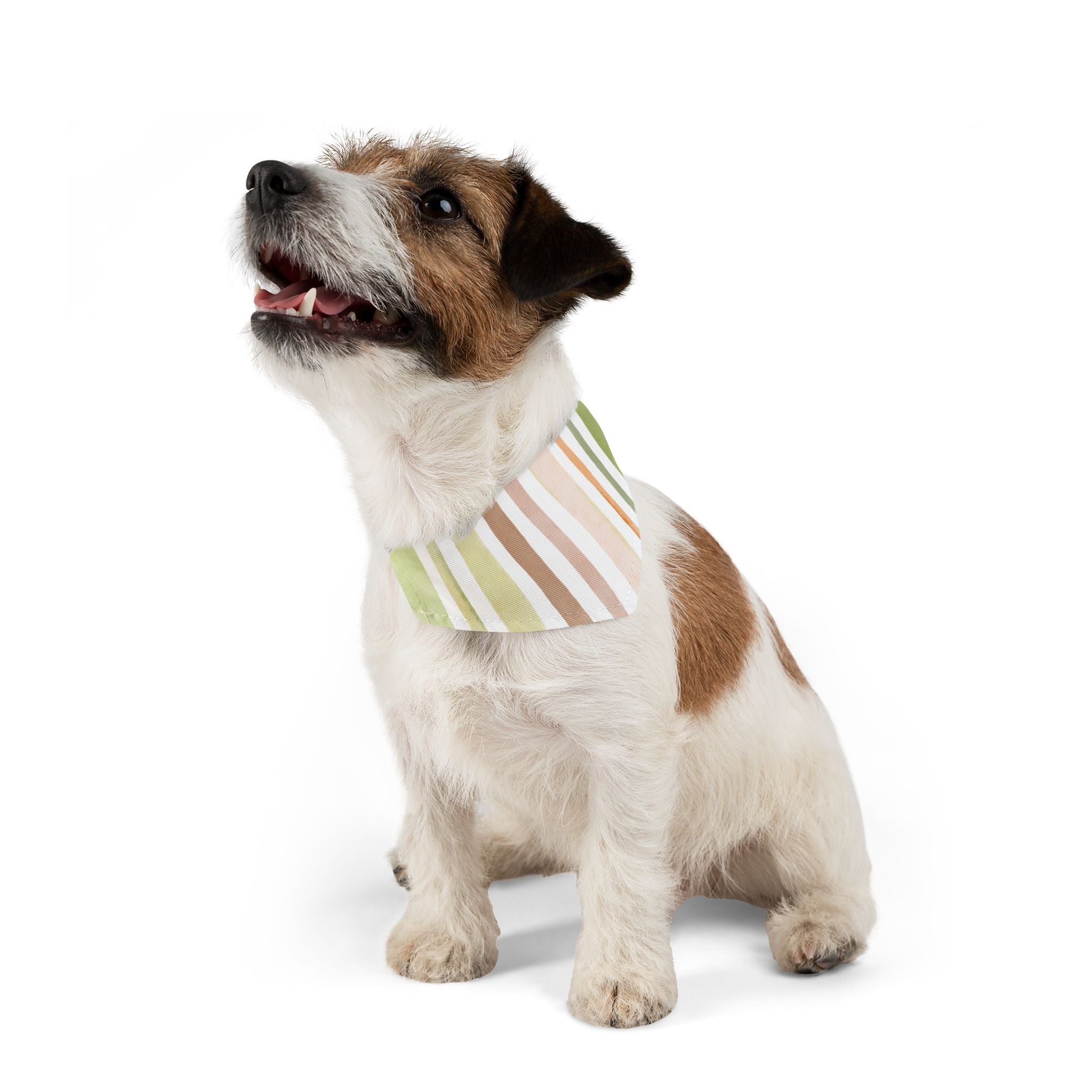 Striped Pastel Pet Bandana Collar – Green & Peach Dog Scarf
