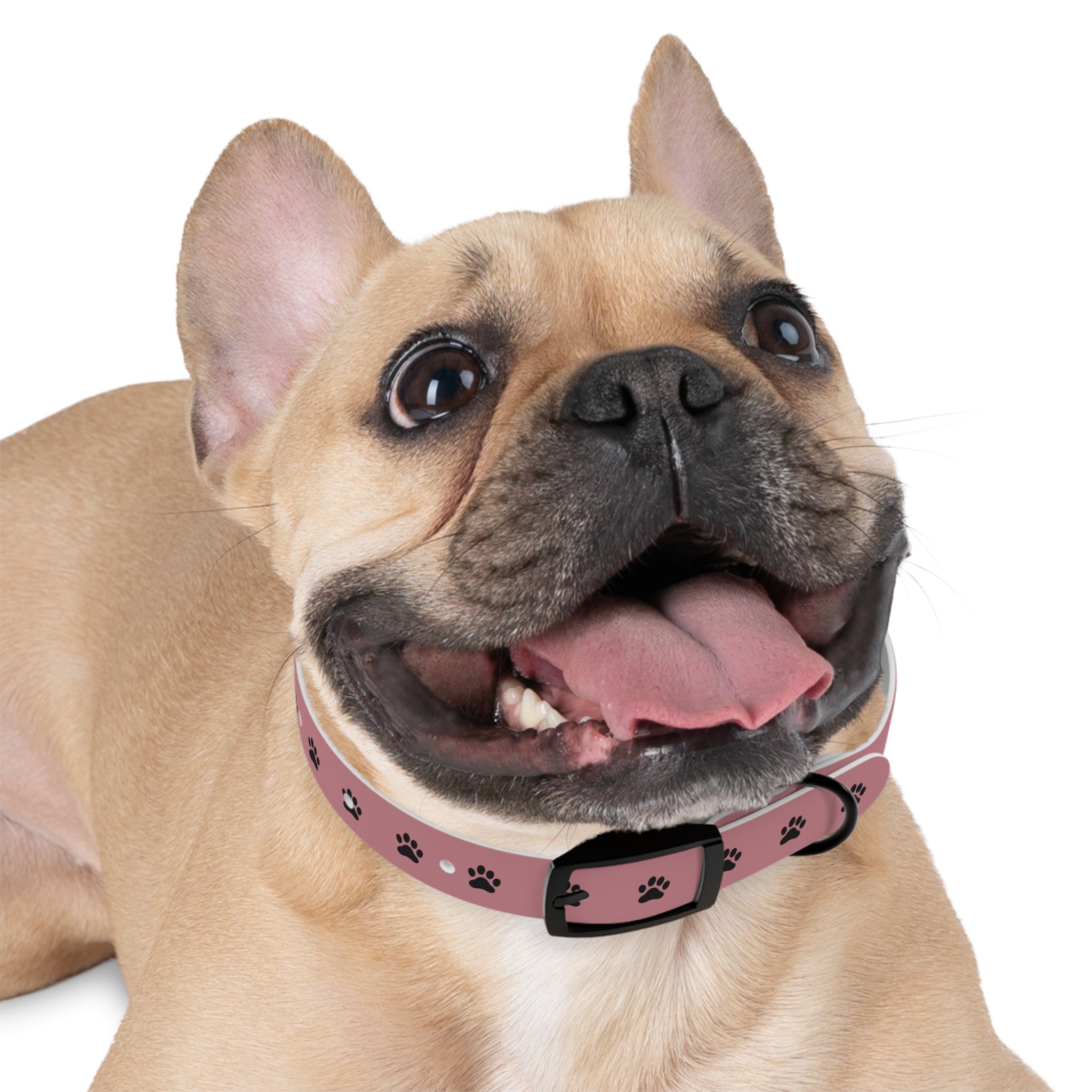 Pink Paw Print Dog Collar — Cute Durable Pet Collar for Everyday Wear