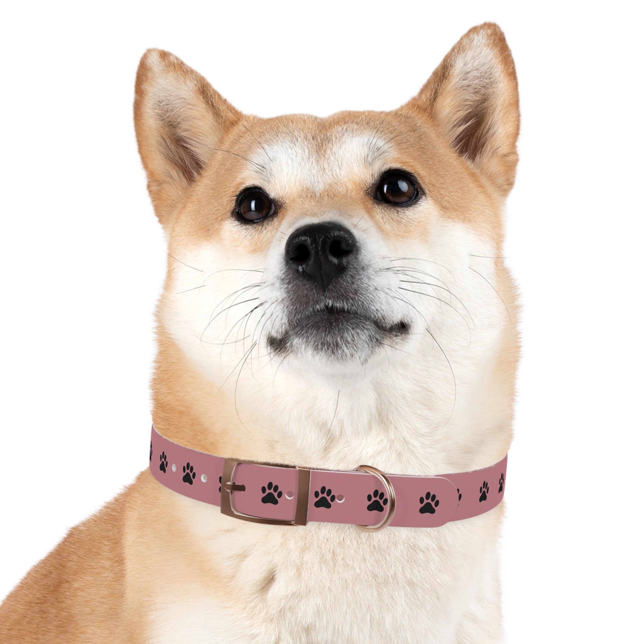 Pink Paw Print Dog Collar — Cute Durable Pet Collar for Everyday Wear