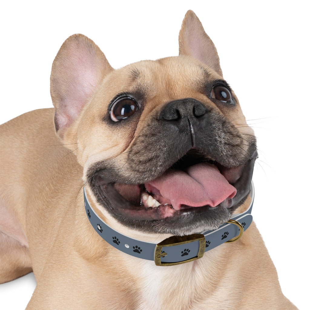 Blue Paw Print Dog Collar — Durable Adjustable Pet Collar for Everyday Wear