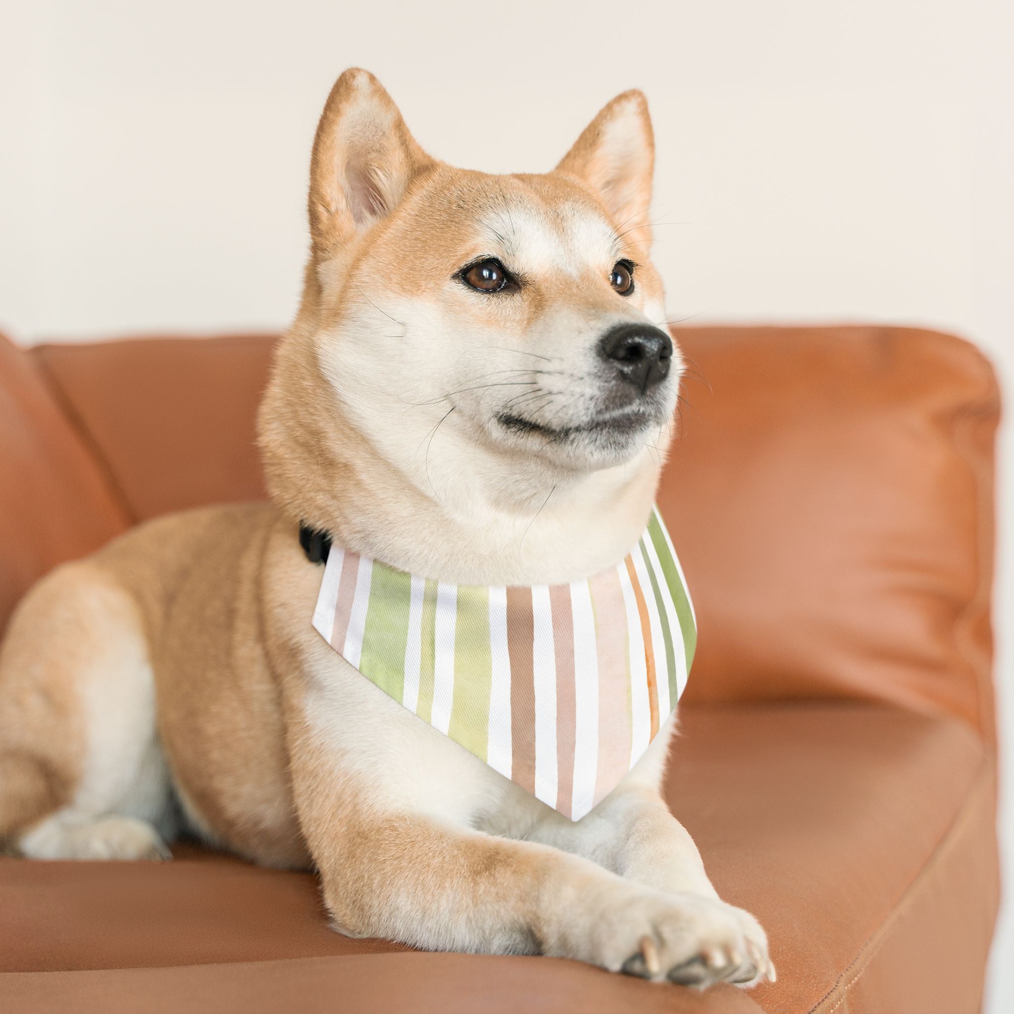 Striped Pastel Pet Bandana Collar – Green & Peach Dog Scarf