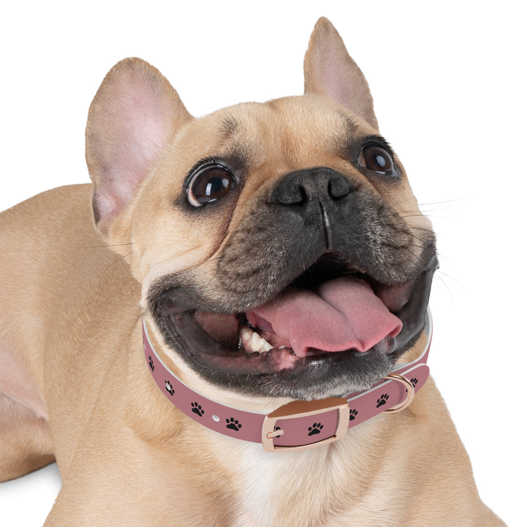Pink Paw Print Dog Collar — Cute Durable Pet Collar for Everyday Wear