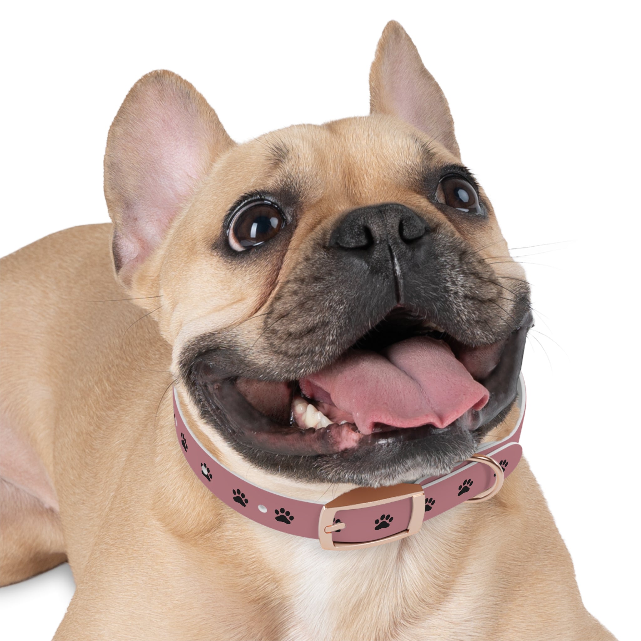 Pink Paw Print Dog Collar — Cute Durable Pet Collar for Everyday Wear