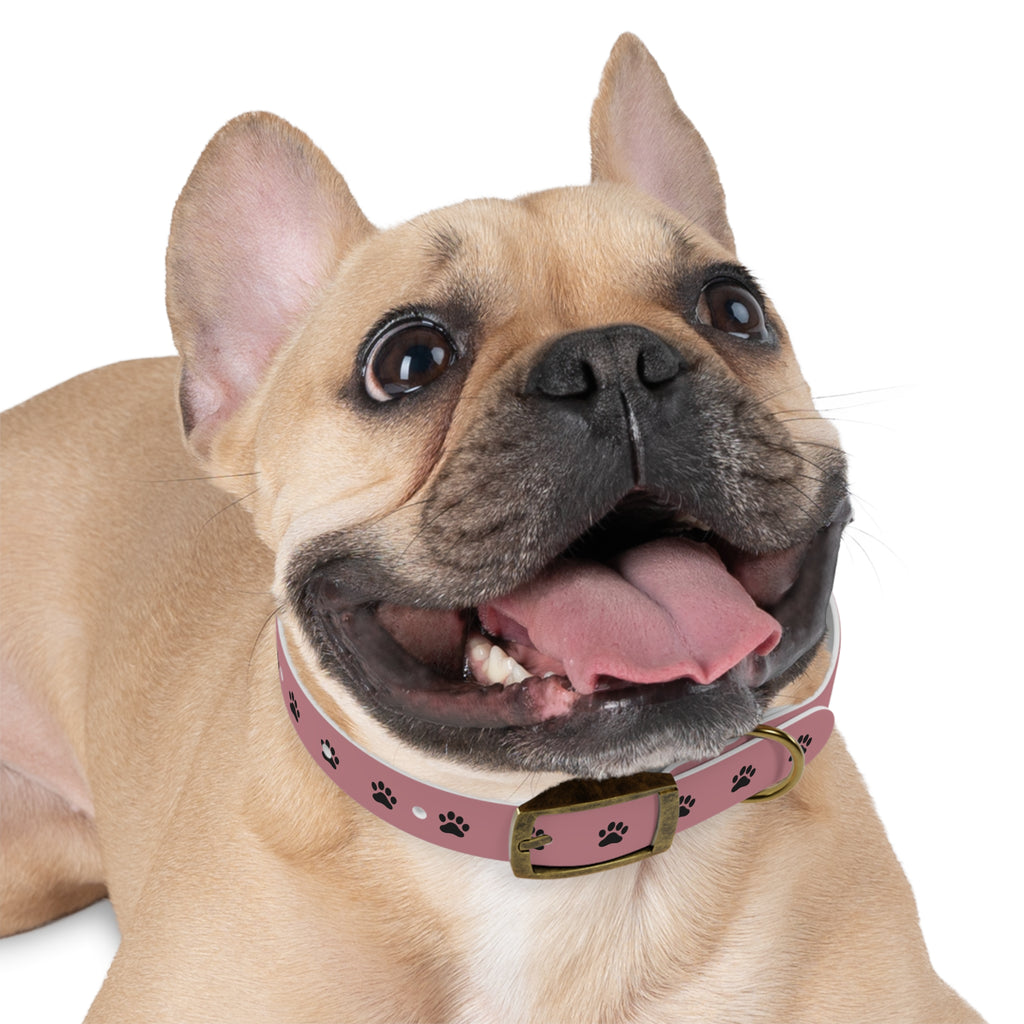 Pink Paw Print Dog Collar — Cute Durable Pet Collar for Everyday Wear