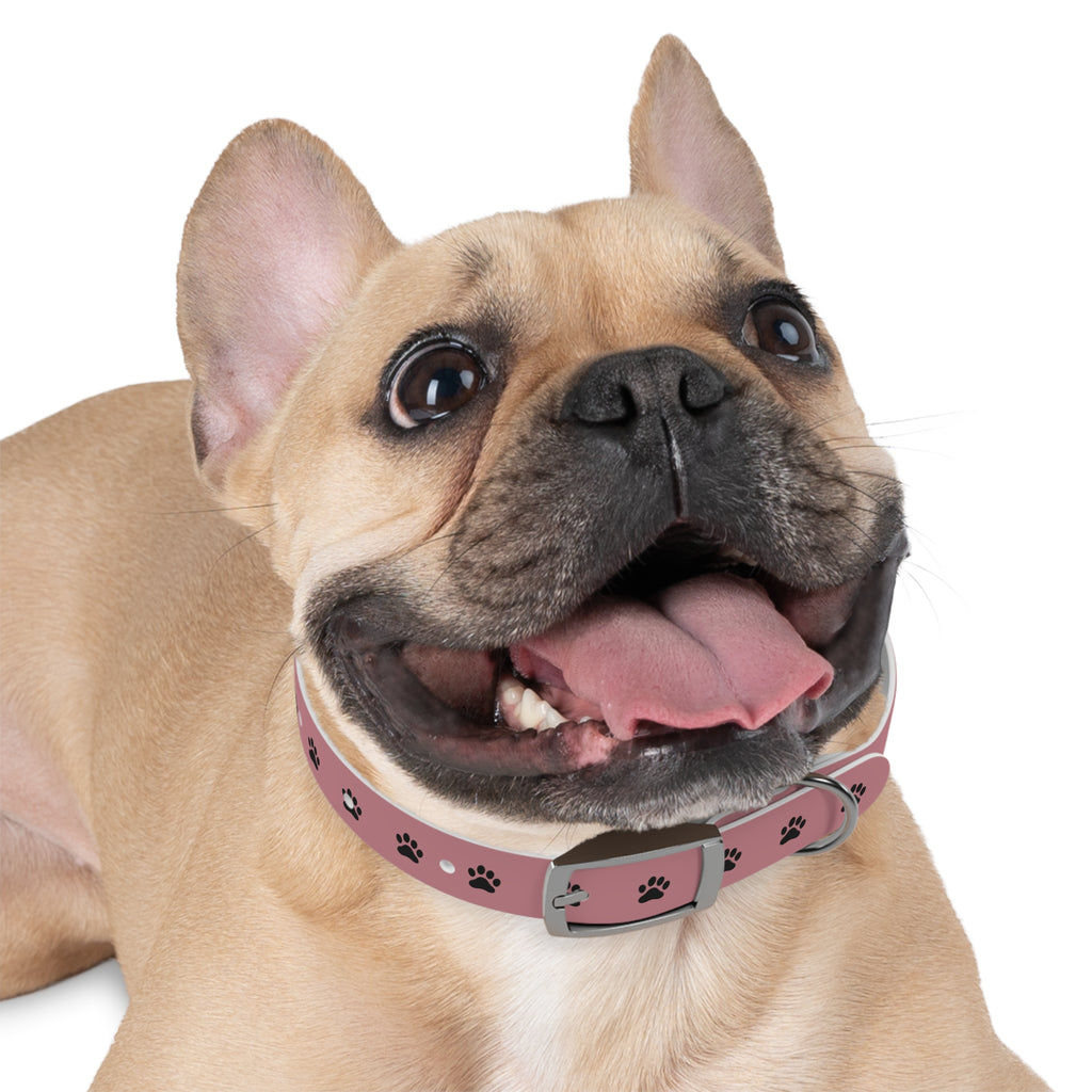 Pink Paw Print Dog Collar — Cute Durable Pet Collar for Everyday Wear