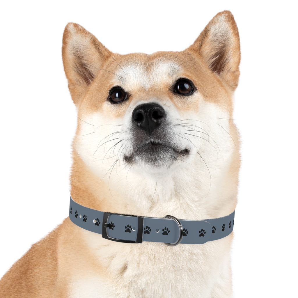 Blue Paw Print Dog Collar — Durable Adjustable Pet Collar for Everyday Wear