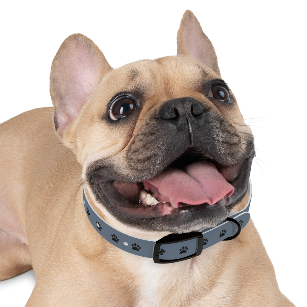 Blue Paw Print Dog Collar — Durable Adjustable Pet Collar for Everyday Wear
