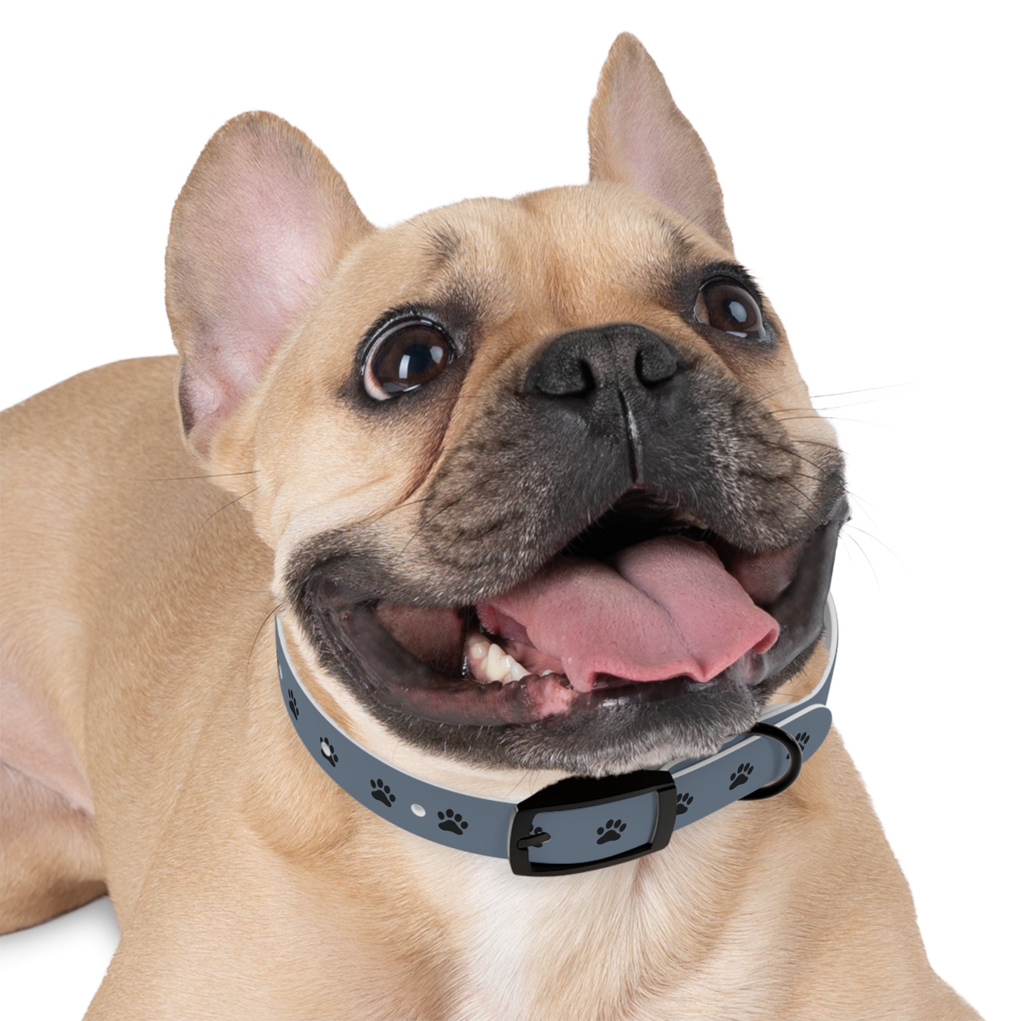 Blue Paw Print Dog Collar — Durable Adjustable Pet Collar for Everyday Wear
