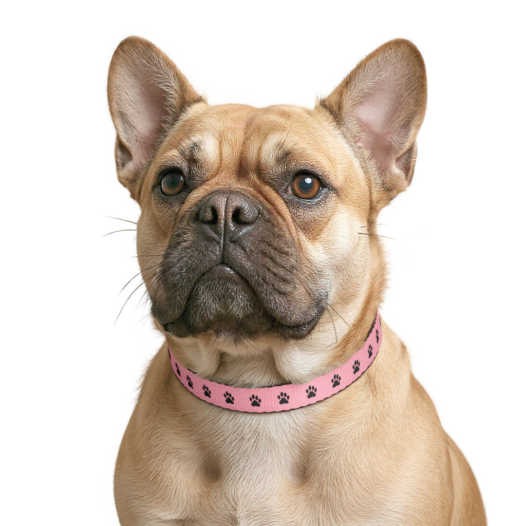 Pink Paw Print Clip-On Pet Collar — Adjustable Dog & Cat Collar