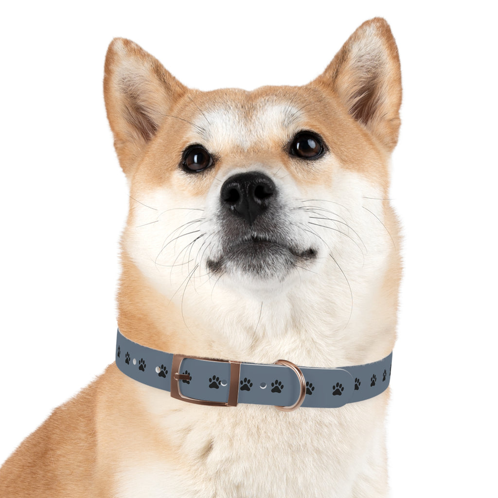 Blue Paw Print Dog Collar — Durable Adjustable Pet Collar for Everyday Wear