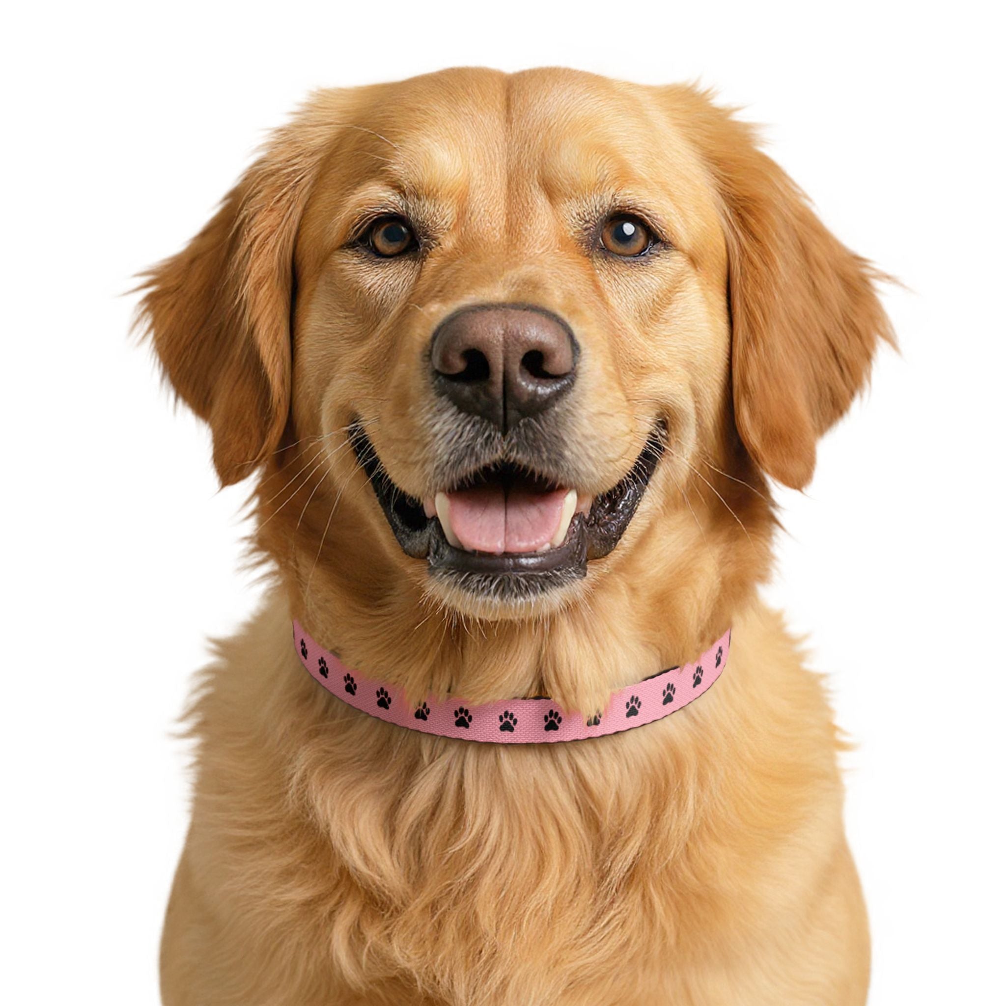 Pink Paw Print Clip-On Pet Collar — Adjustable Dog & Cat Collar