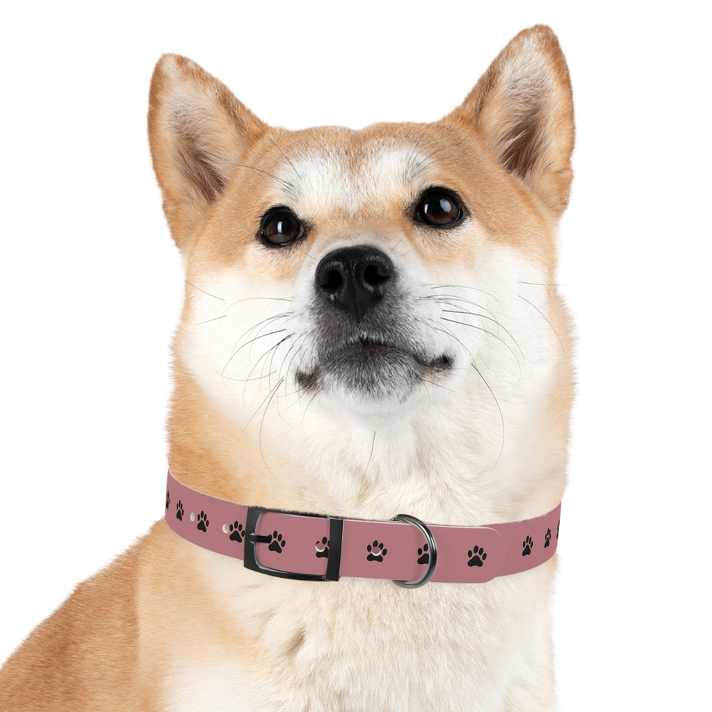 Pink Paw Print Dog Collar — Cute Durable Pet Collar for Everyday Wear