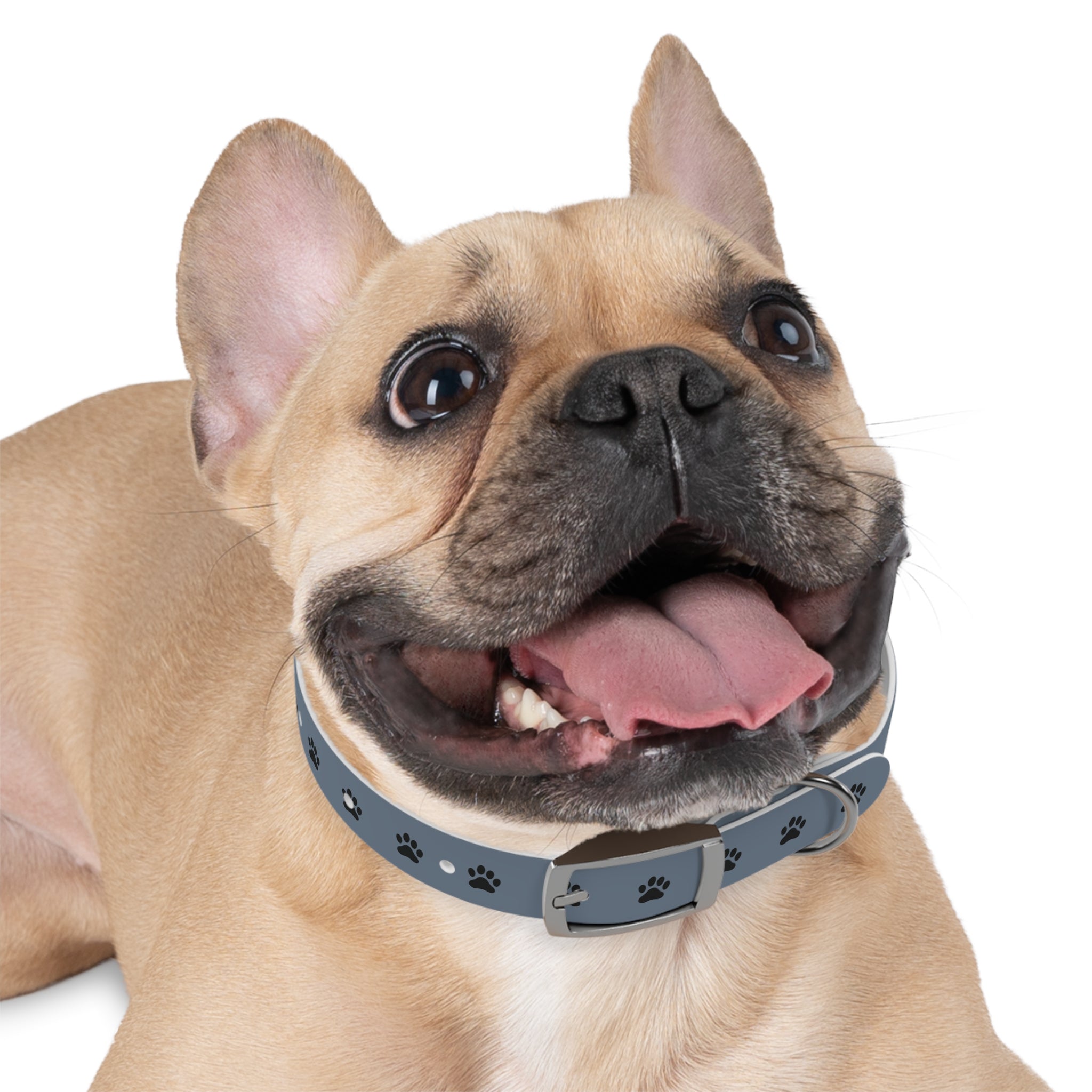 Blue Paw Print Dog Collar — Durable Adjustable Pet Collar for Everyday Wear