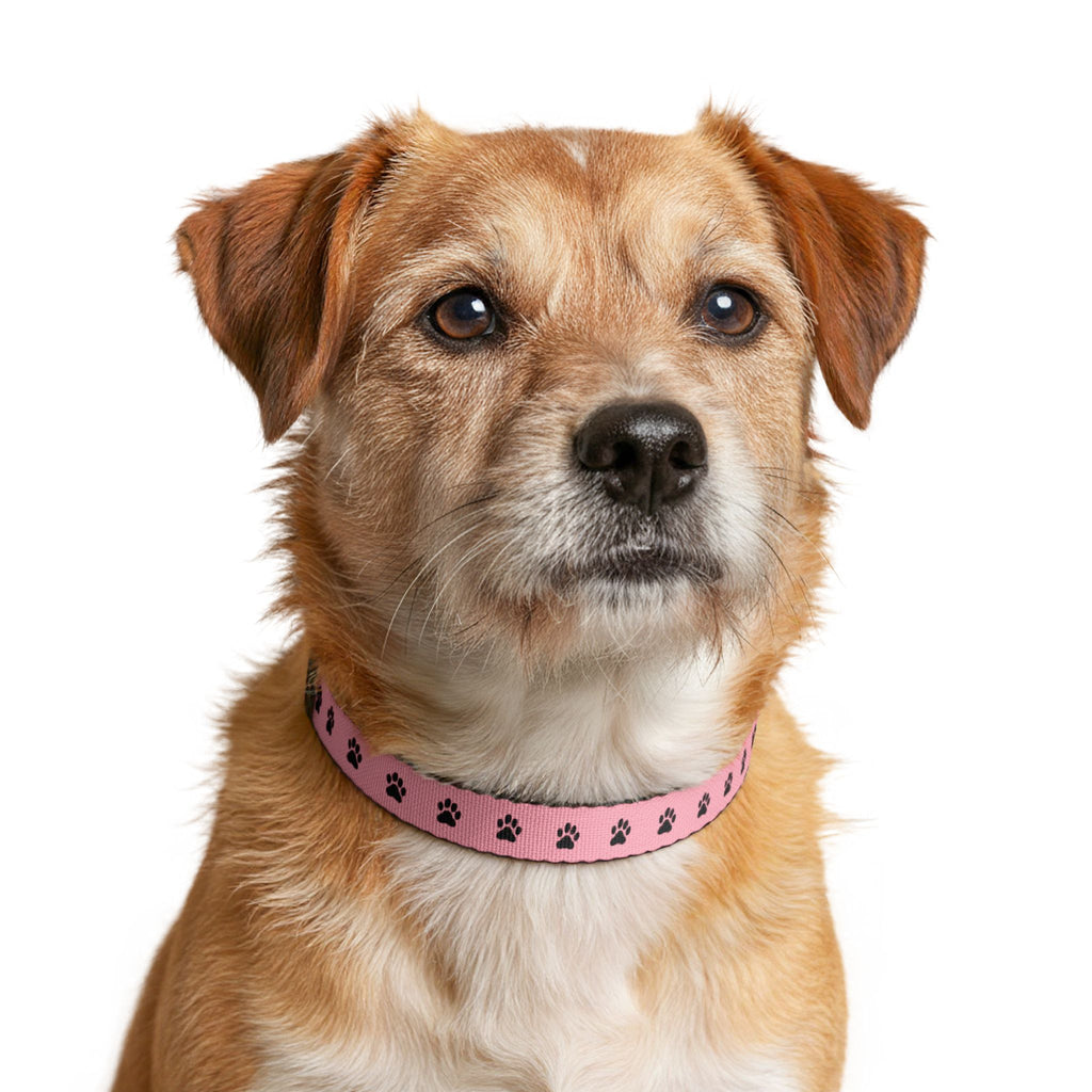 Pink Paw Print Clip-On Pet Collar — Adjustable Dog & Cat Collar