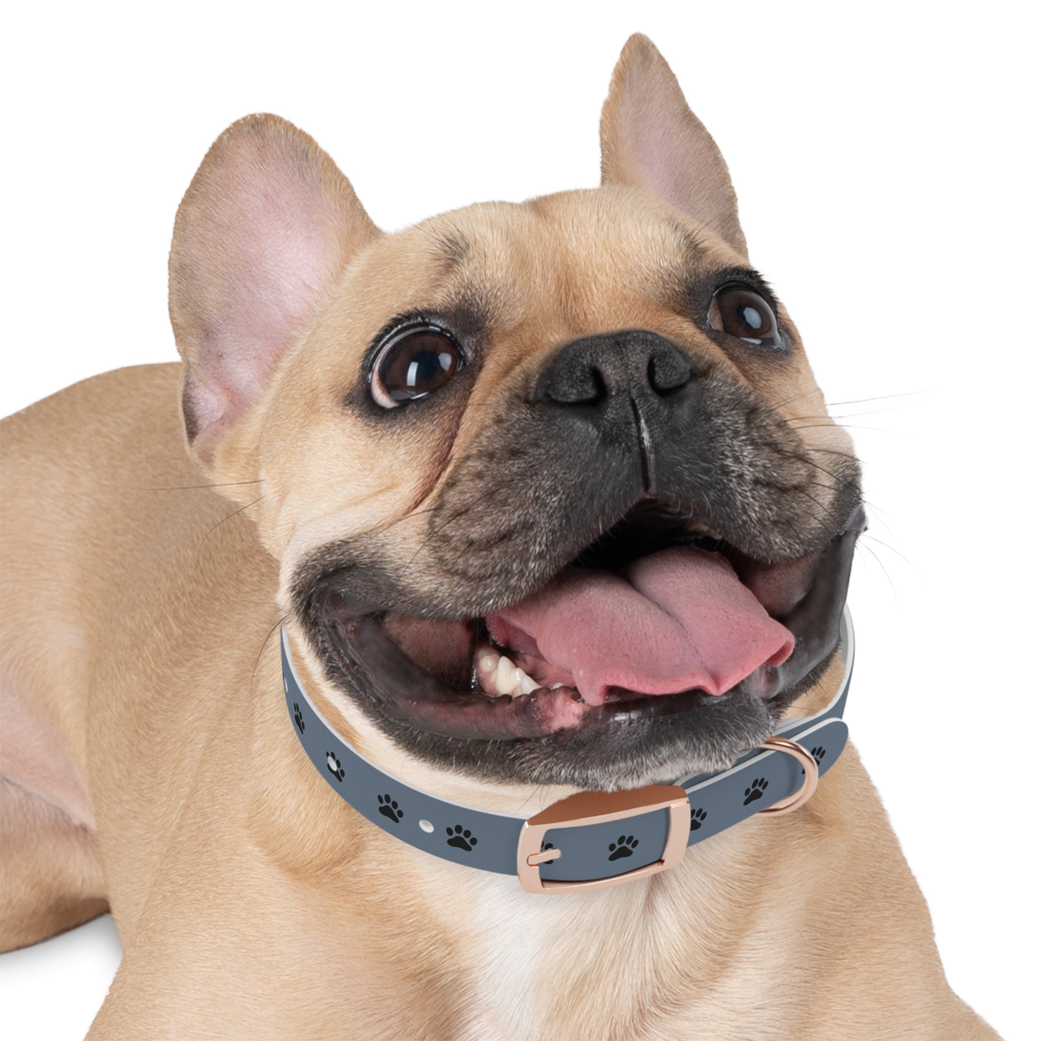 Blue Paw Print Dog Collar — Durable Adjustable Pet Collar for Everyday Wear