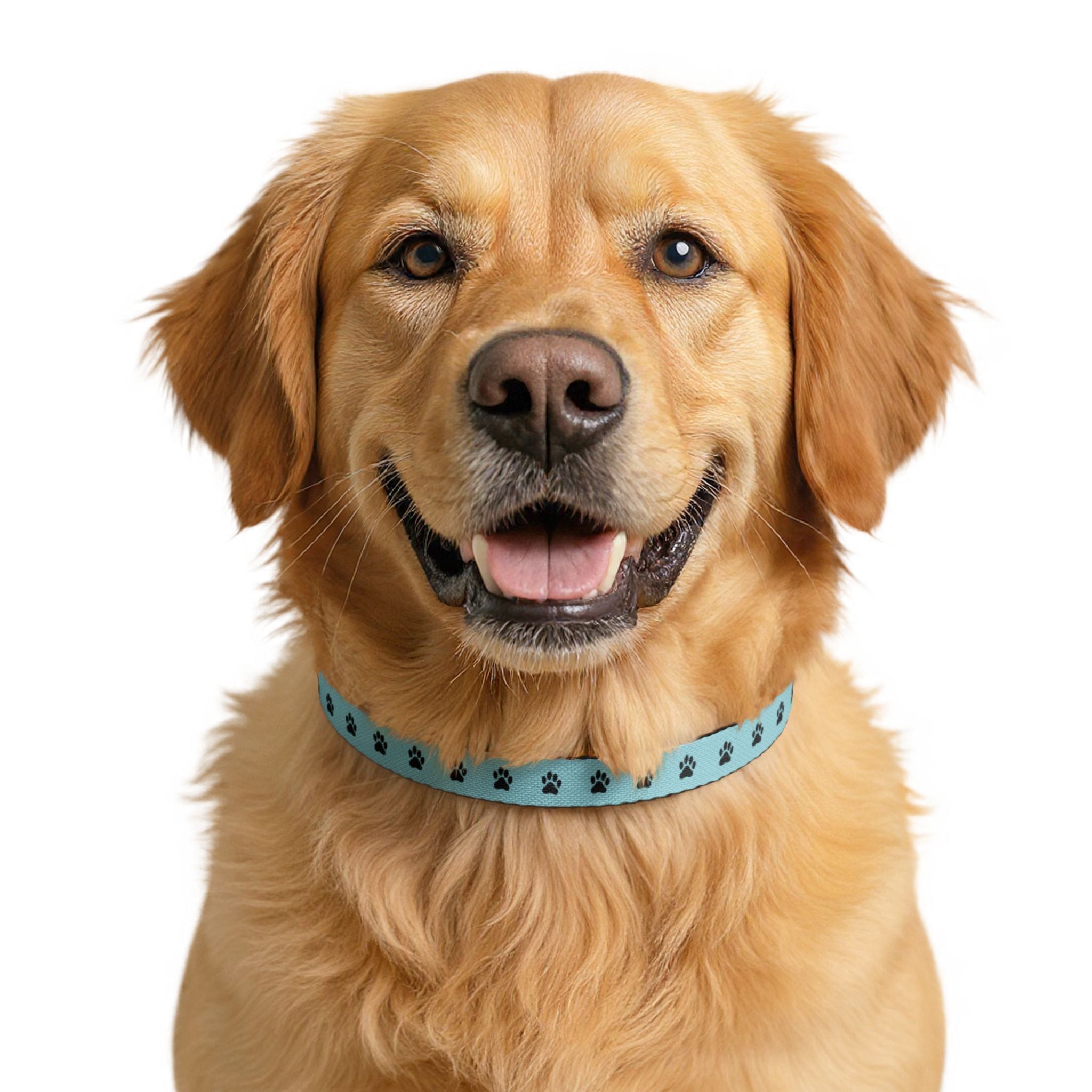 Aqua Paw Print Clip-On Pet Collar — Lightweight Adjustable Dog & Cat Collar