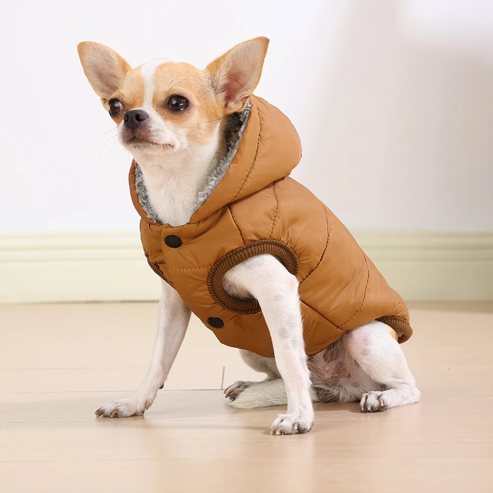 Warm Cats Hoodie Coat For Small Medium Cats Dog Winter Cozy Fleece Puppy Kitten Jacket Clothes Windproof Pet Pug Sphynx Costume